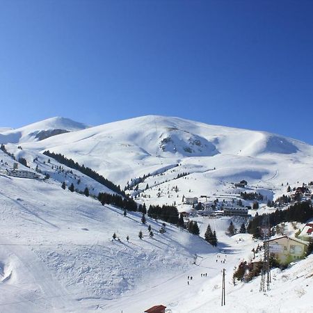 Snow Patrol Lodge Тетово Экстерьер фото